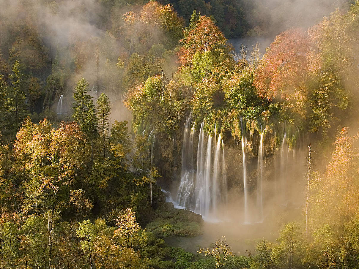 Frühnebel an einem sonnigen Herbstmorgen an den Plitvicer Seen in Kroatien © Wild Wonders of Europe / Maurizio Biancarelli / WWF