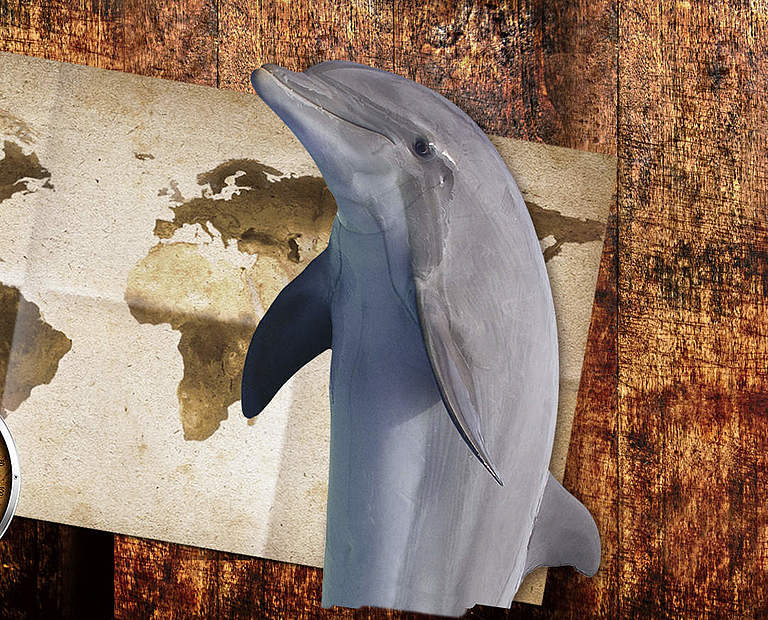 Paten Header Delfin © WWF