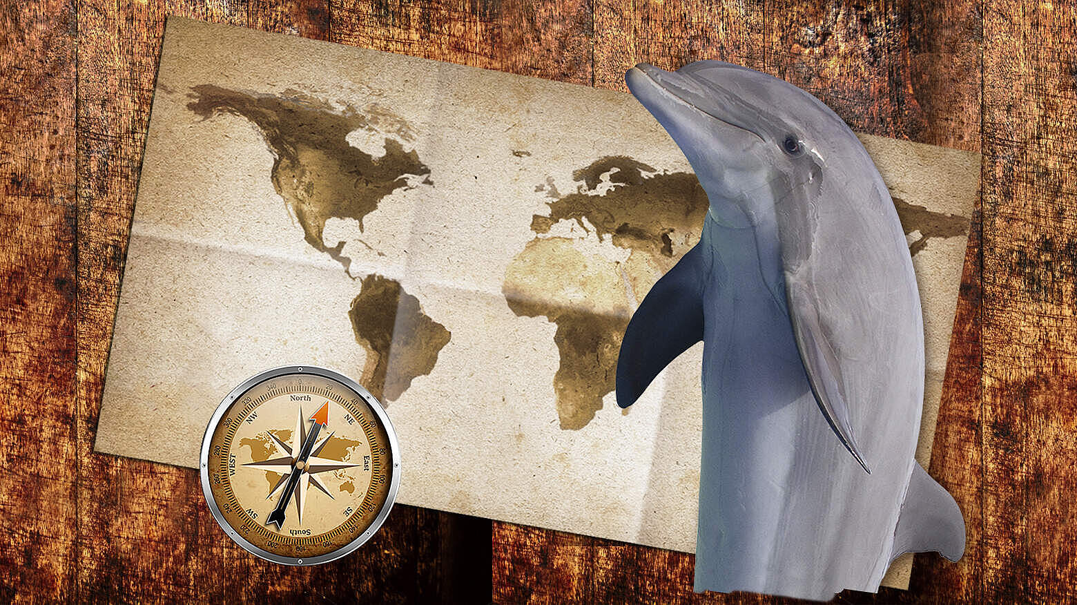 Paten Header Delfin © WWF