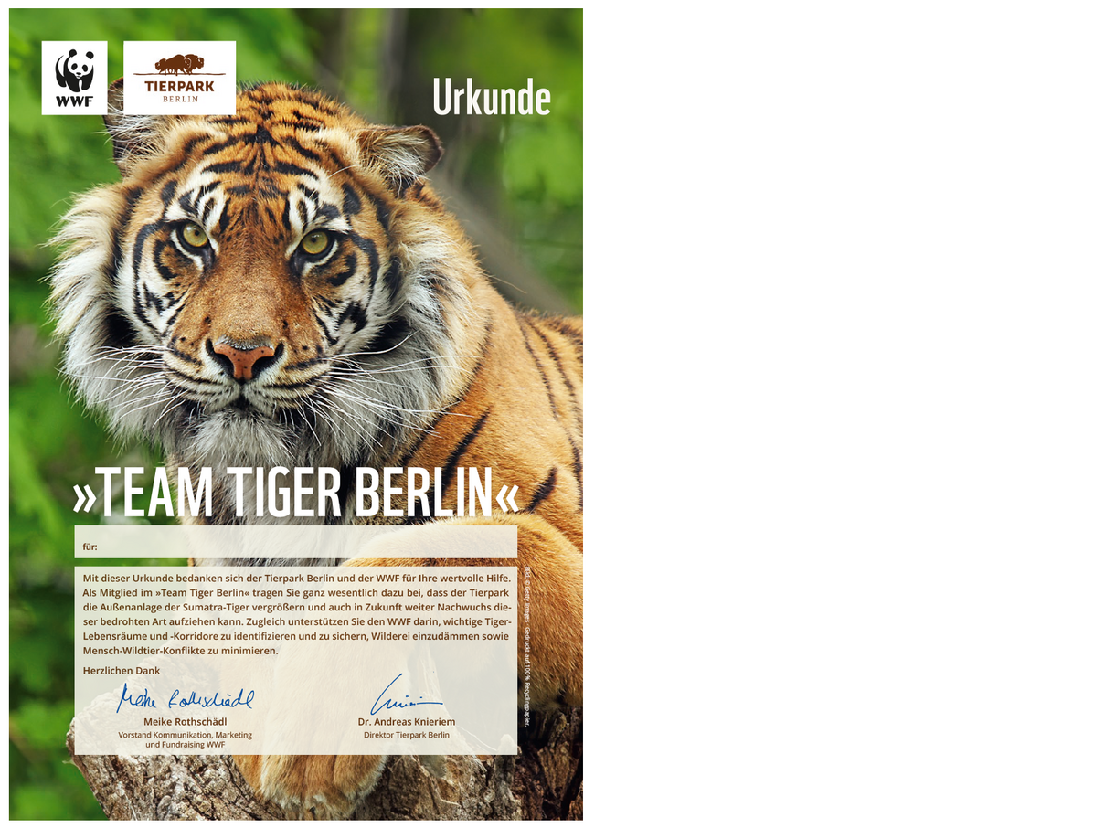 "Team Tiger Berlin"-Urkunde © WWF