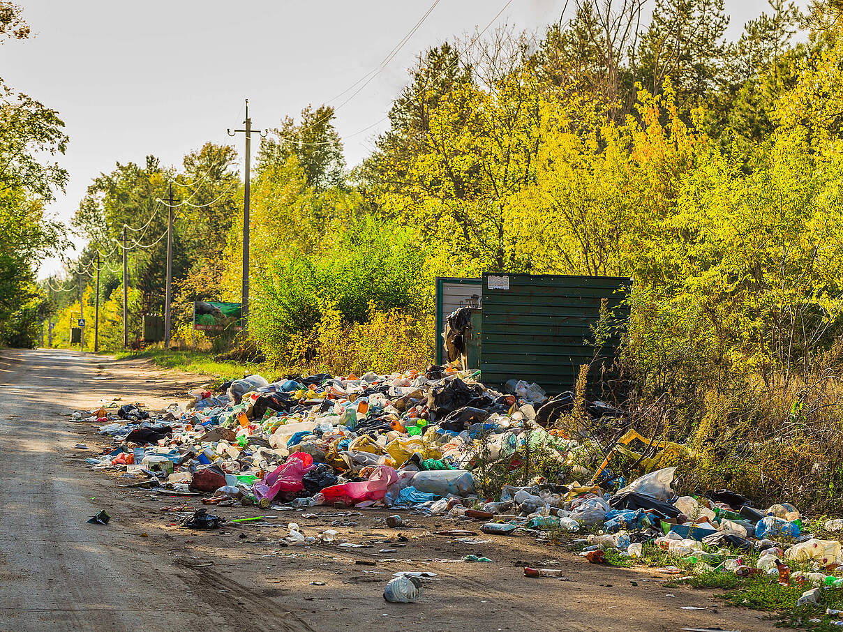 Die richtige Müllentsorgung ist wichtig für die Natur und ihre Bewohner 