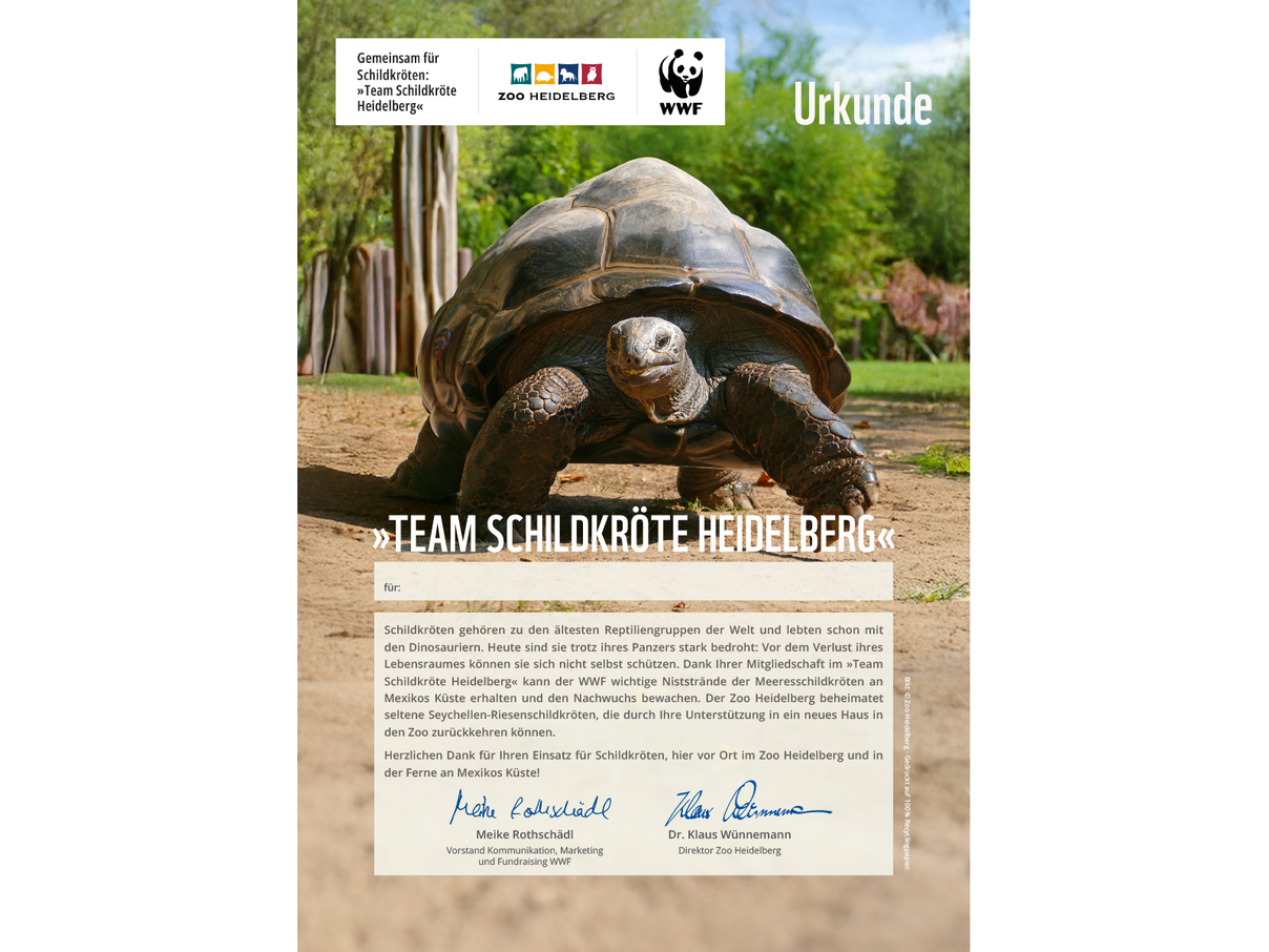 „Team Schildkröte Heidelberg“-Urkunde © WWF „Team Schildkröte Heidelberg“-Urkunde © WWF