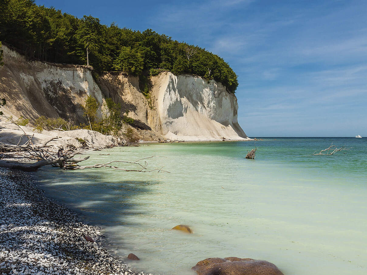 Kreidefelsen auf Rügen an der Ostsee