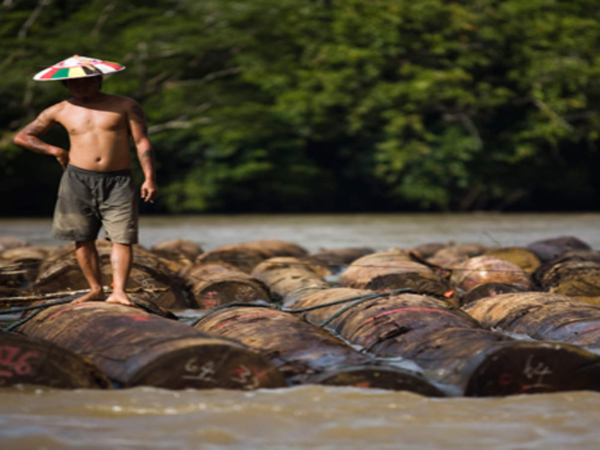 Stämme illegal abgeholzter Bäume werden den Mahakam-Fluss auf Borneo hinab geflößt © Simon Rawles