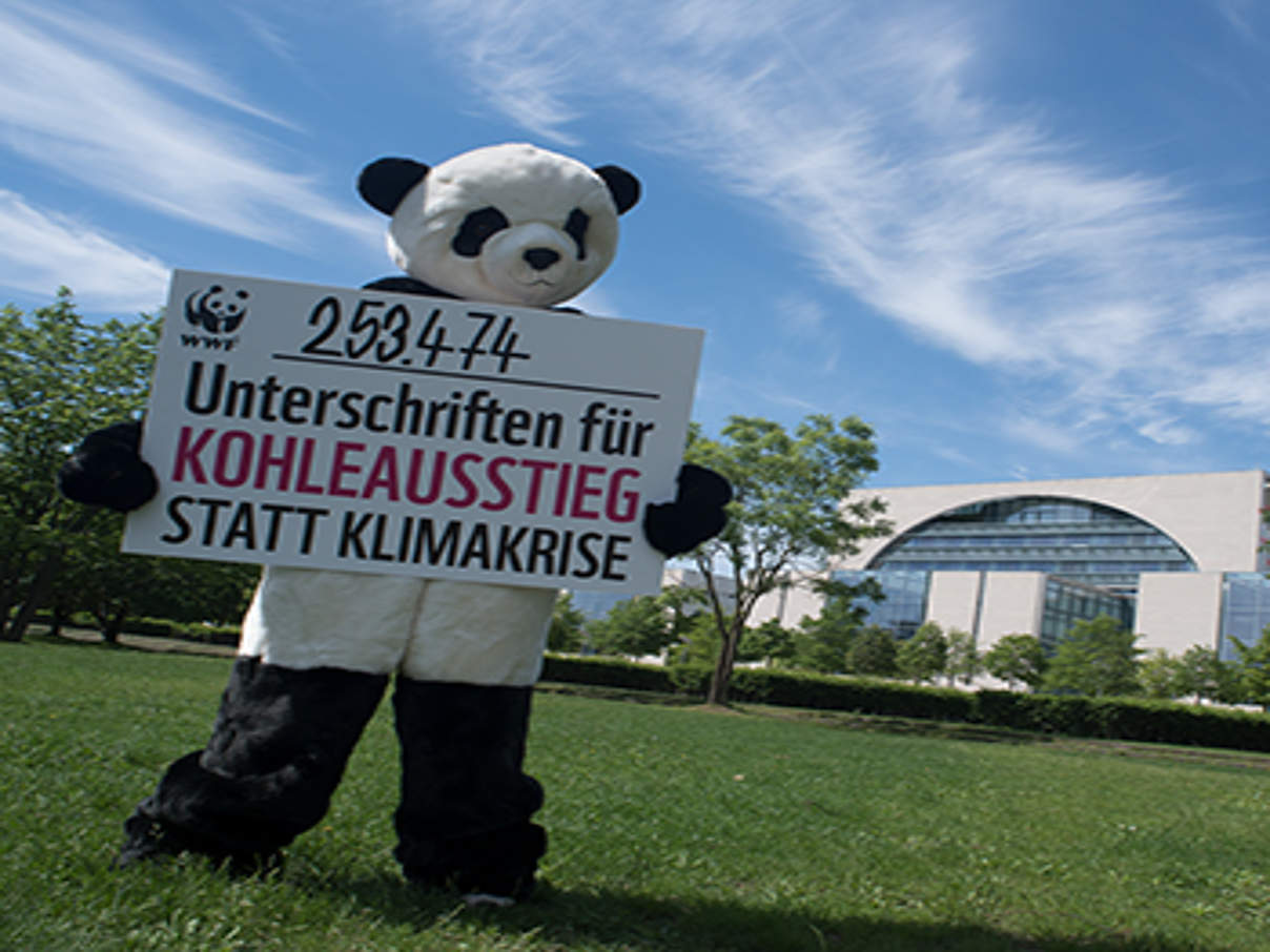 350 Kohlefrei Petitions Uebergabe c wwf © Claudia Nir/WWF