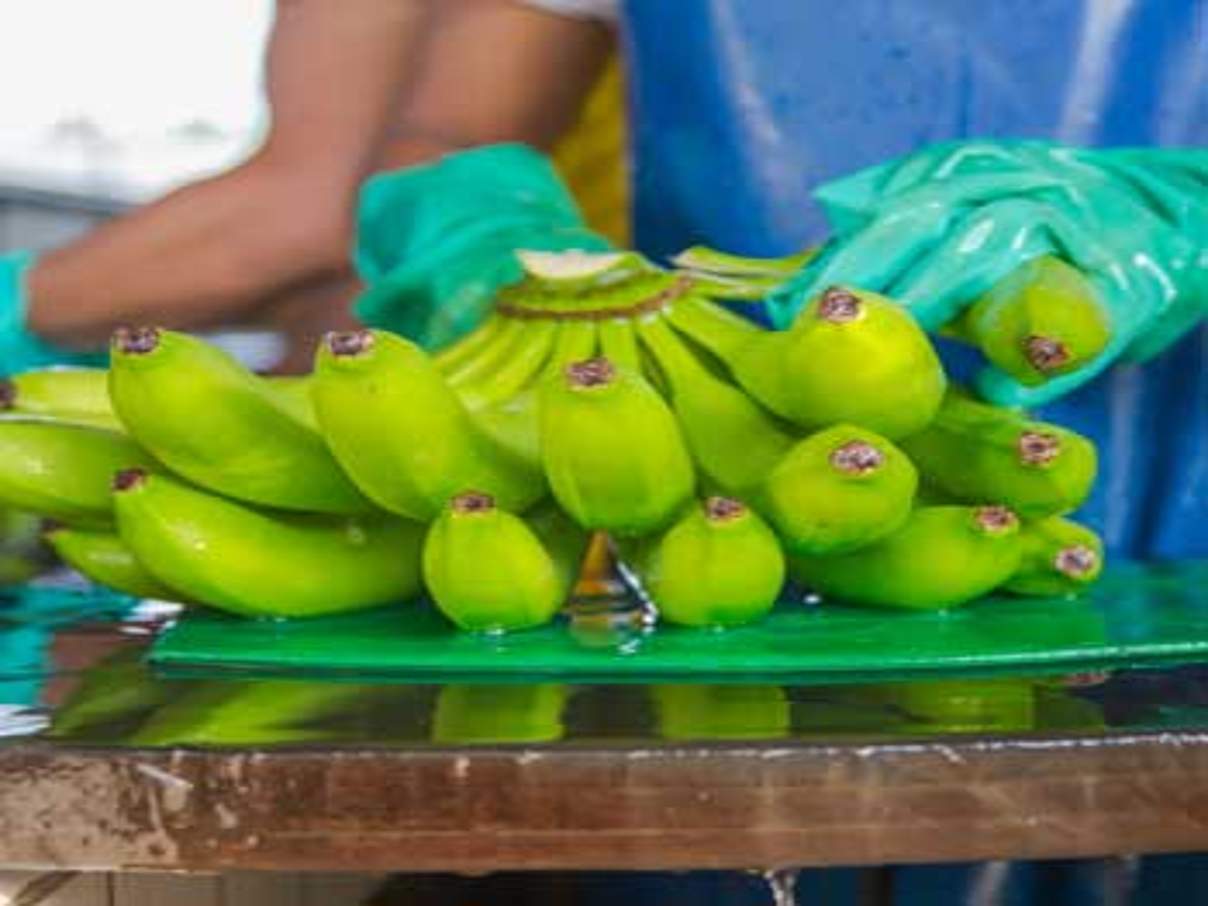 Nachhaltiger Bananenanbau © Edeka