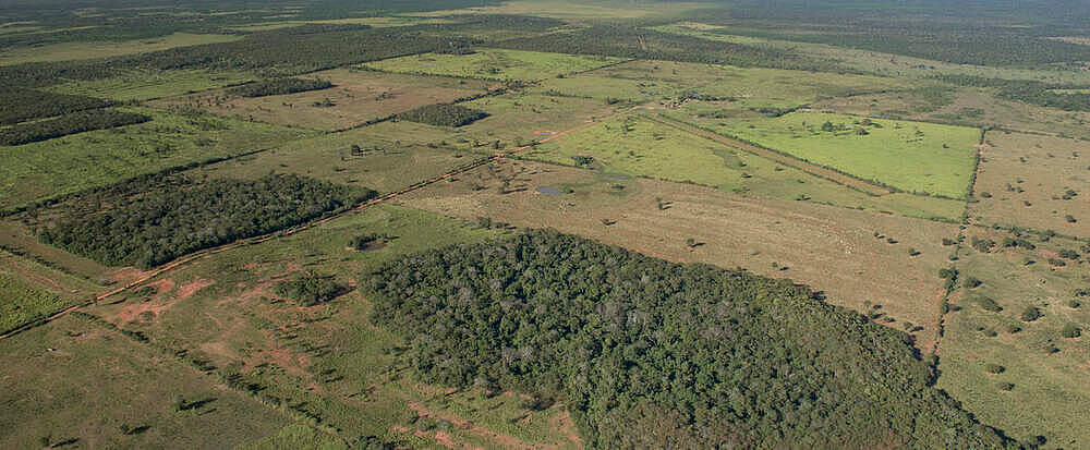 Abgeholzte Flächen in der Cerrado-Pantanal-Region © Jaime Rojo / WWF-US