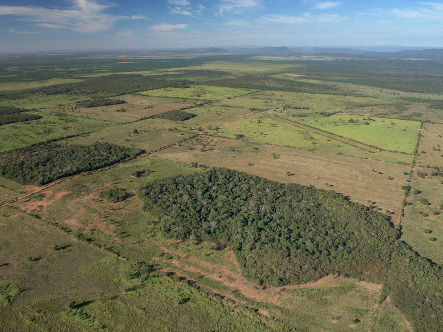 Abgeholzte Flächen in der Cerrado-Pantanal-Region © Jaime Rojo / WWF-US