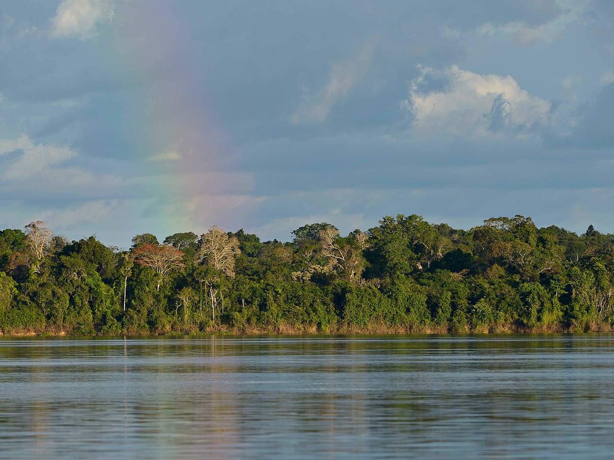 Regenbogen über dem Juruena Fluss © Adriano Gambarini / WWF Brasilien