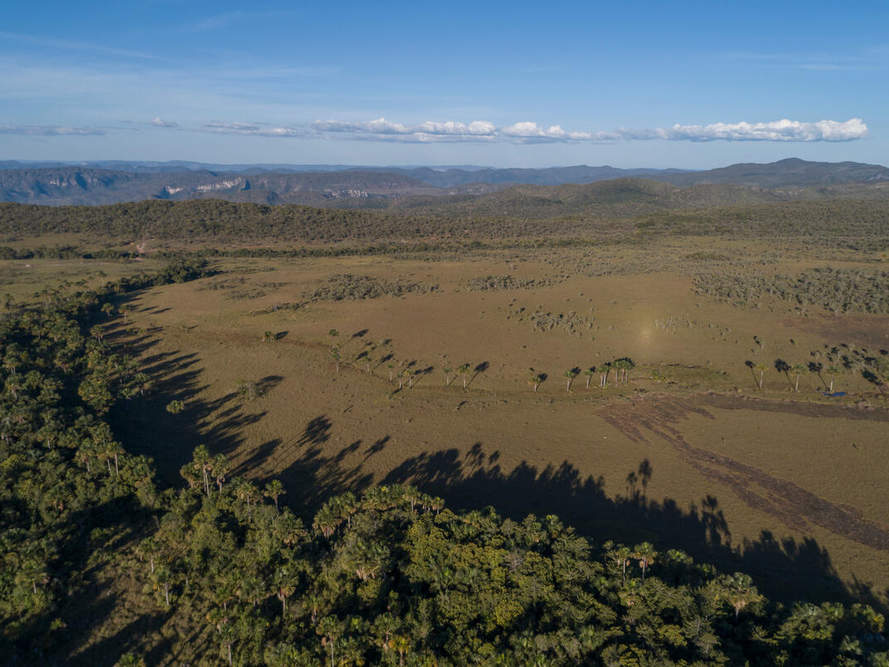 Luftaufnahme der Cerrado-Landschaft © Andre Dib / WWF-Brazil