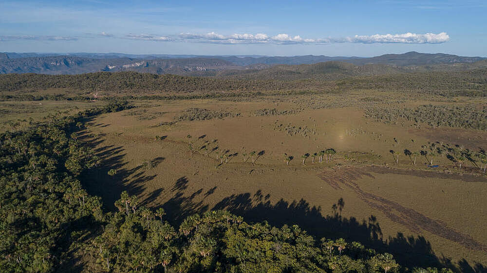 Luftaufnahme der Cerrado-Landschaft © Andre Dib / WWF-Brazil