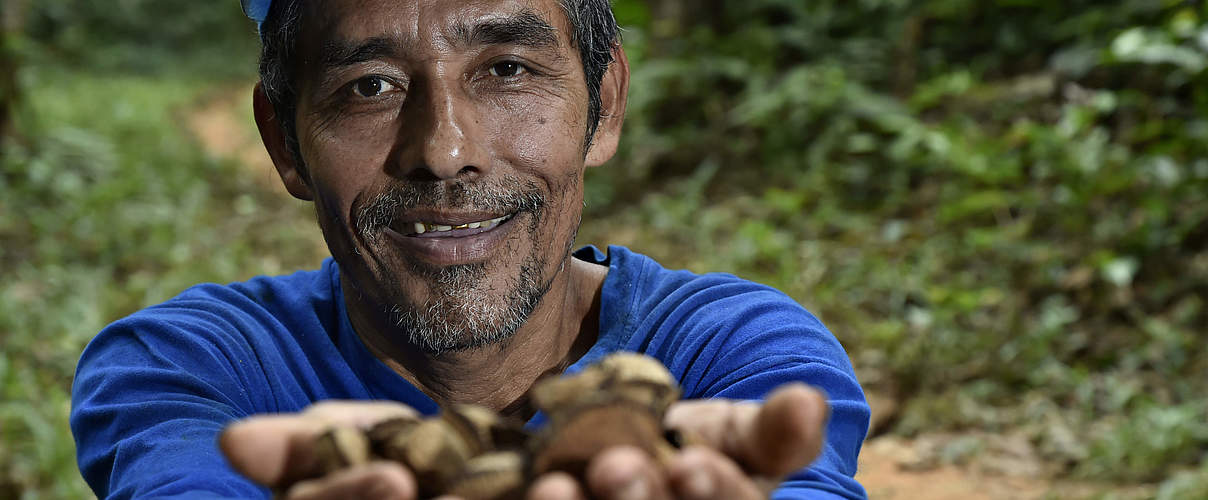 Bauer für Paranuss-Anbau in Bolivien © Adriano Gambarini / WWF Living Amazon Initiative