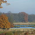 Drömling Flachwasserlandschaft © WWF