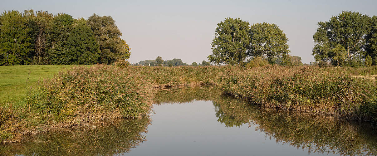 Ehemaliger Priel Kahlesand © Claudi Nir / WWF Deutschland