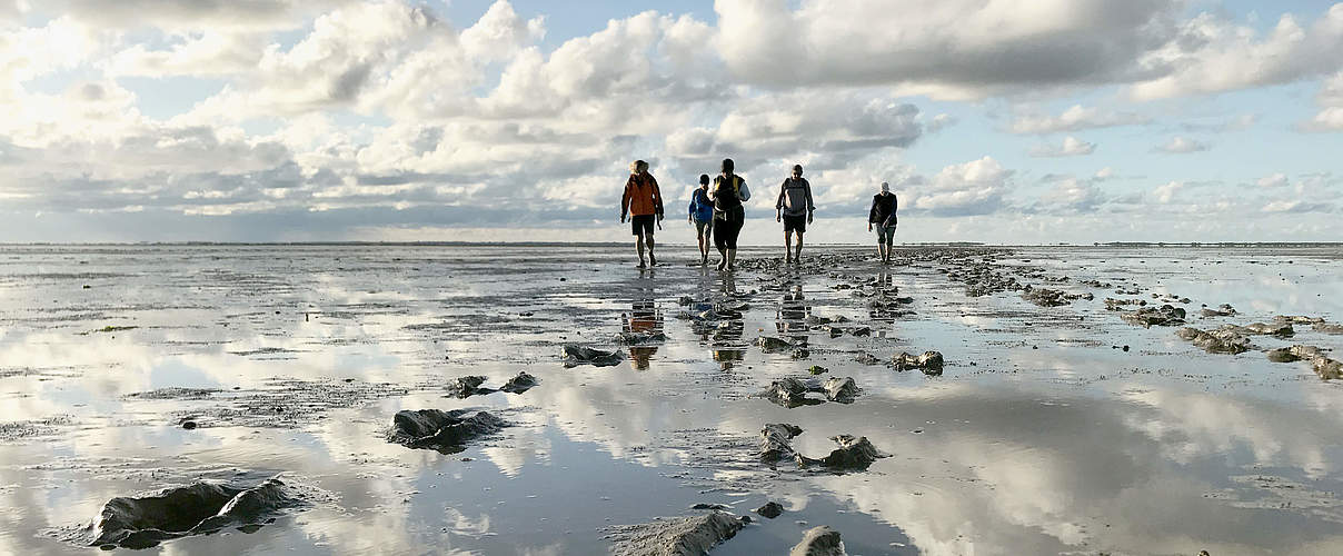 WWF-Erlebnistouren © waddensea.travel