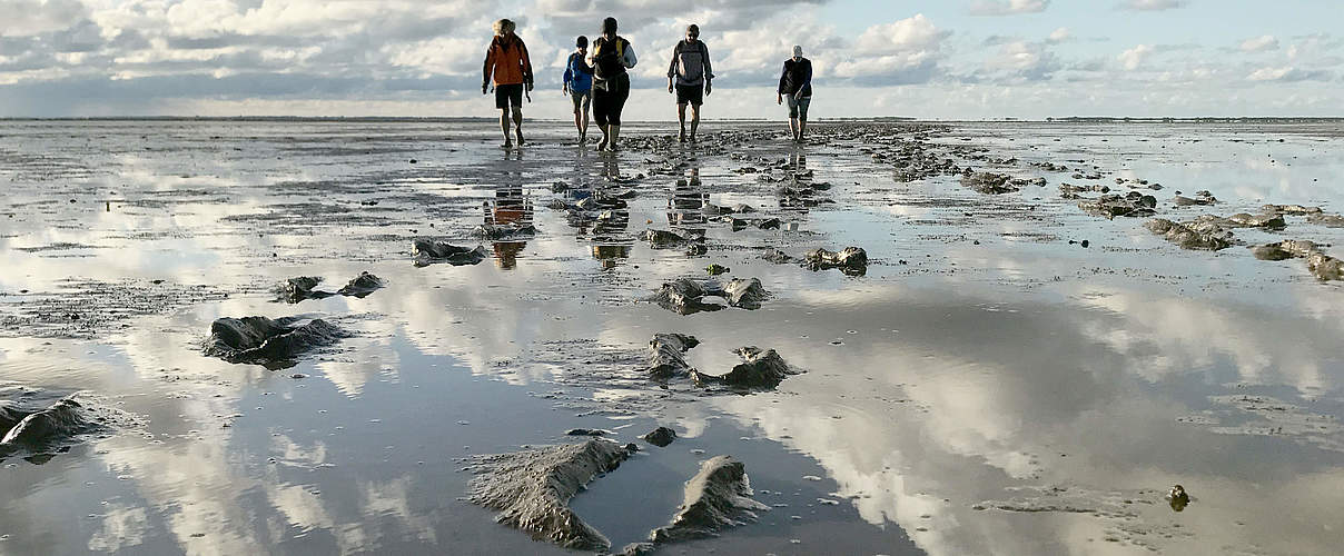 WWF-Erlebnistouren © waddensea.travel