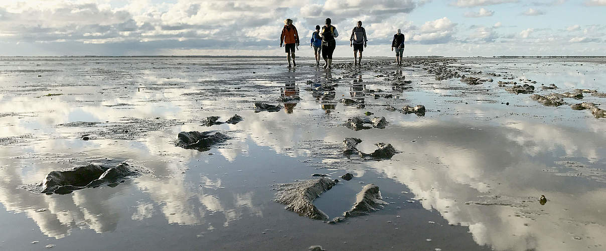 WWF-Erlebnistouren © waddensea.travel