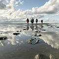 WWF-Erlebnistouren © waddensea.travel