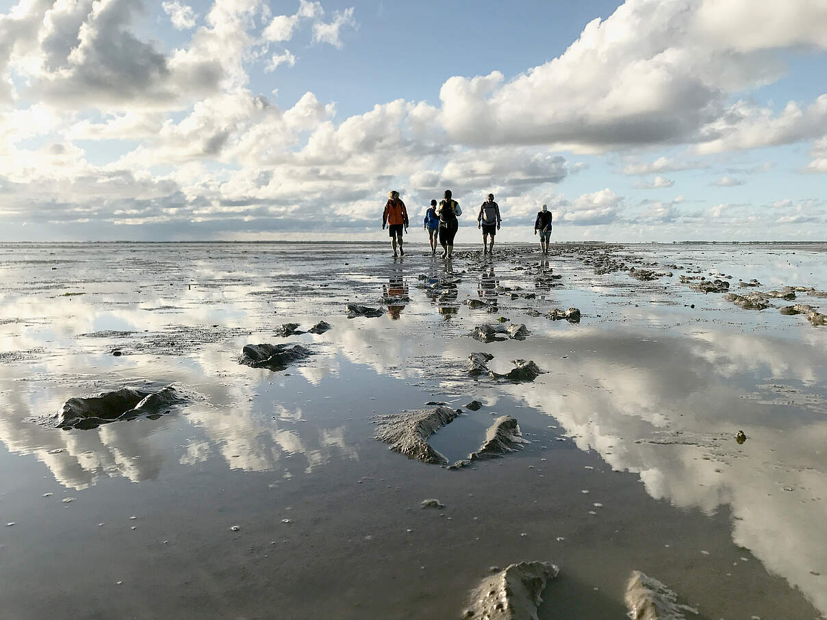 WWF-Erlebnistouren © waddensea.travel