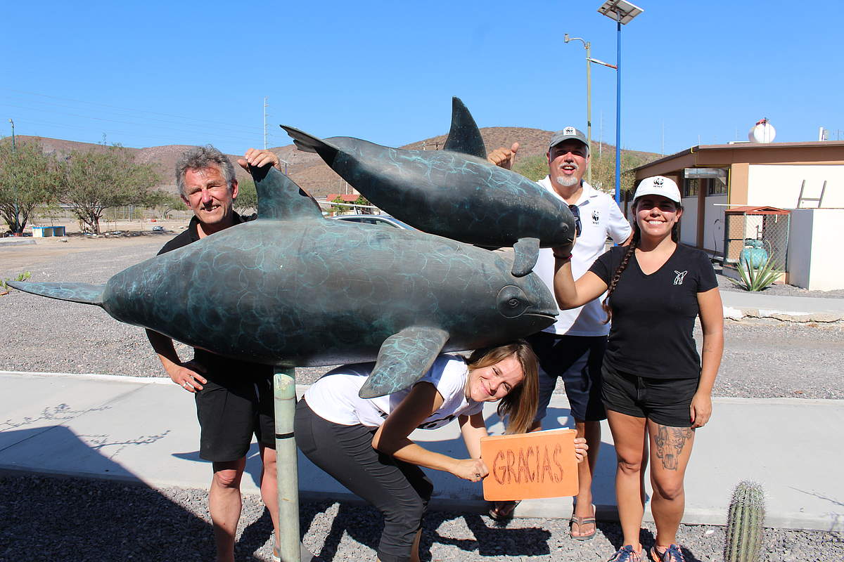 Besuch der Auffang- und Rettungsstation in La Paz © WWF Mexiko
