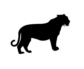 Jaguar, Living Planet Report Icon Naturschutz 