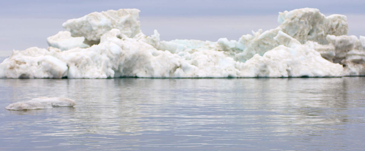 Eisbär in der Beaufortsee vor Alaska © naturepl.com / Steven Kazlowski / WWF