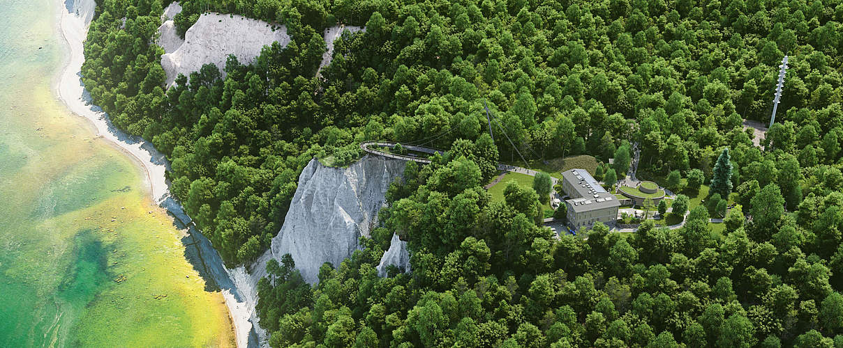 Visualisierung des neuen Königswegs im Nationalparkzentrum Königsstuhl @ NKZ-Liebenau