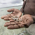 Mosambik © WWF-US / James Morgan