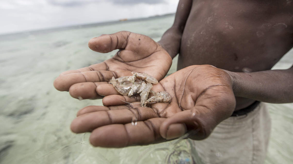 Mosambik © WWF-US / James Morgan
