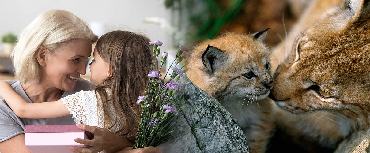 Luchs / Oma mit Kind (Montage) © Staffan Widstrand / WWF / fizkes / istock / Getty Images