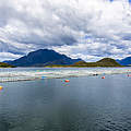 Aqua-Farming in Chile © Yawar Motion Films / WWF-US