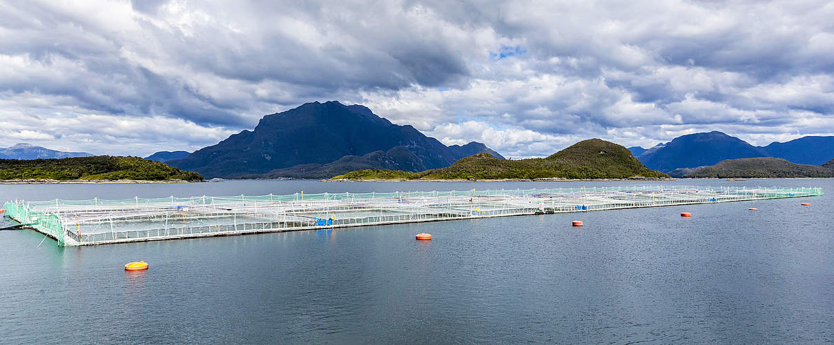 Aqua-Farming in Chile © Yawar Motion Films / WWF-US