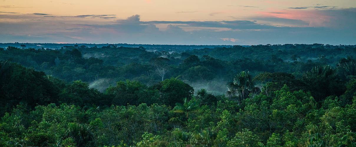 Amazonas Regenwald in Kolumbien © Luis Barreto / WWF-UK