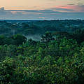 Amazonas Regenwald in Kolumbien © Luis Barreto / WWF-UK