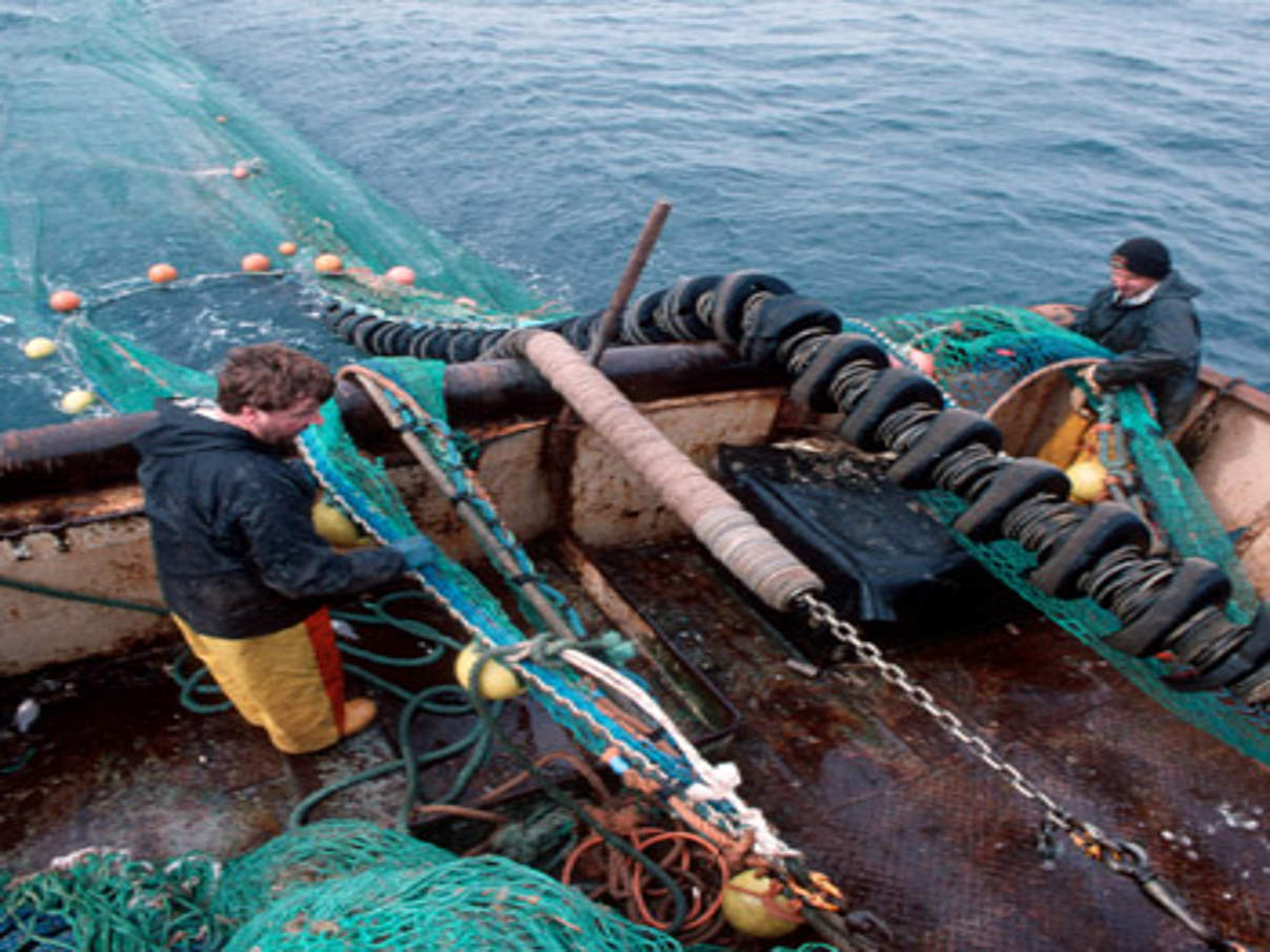 Sechs Millionen Tonnen Fisch zusätzlich zur von Wissenschaftlern empfohlenen Menge wurden in diesen neun Jahren allein im Nordostatlantik gefischt. © Quentin Bates / WWF-Canon