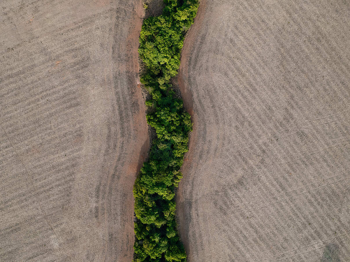 Entwaldungsflächen für den Soja-Anbau im Cerrado © WWF Brasilien Entwaldungsflächen für den Soja-Anbau im Cerrado © WWF Brasilien