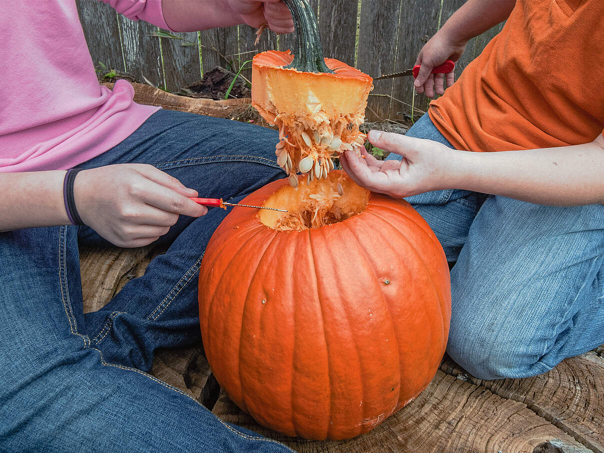 Den Deckel großzügig und vorsichtig ausschneiden