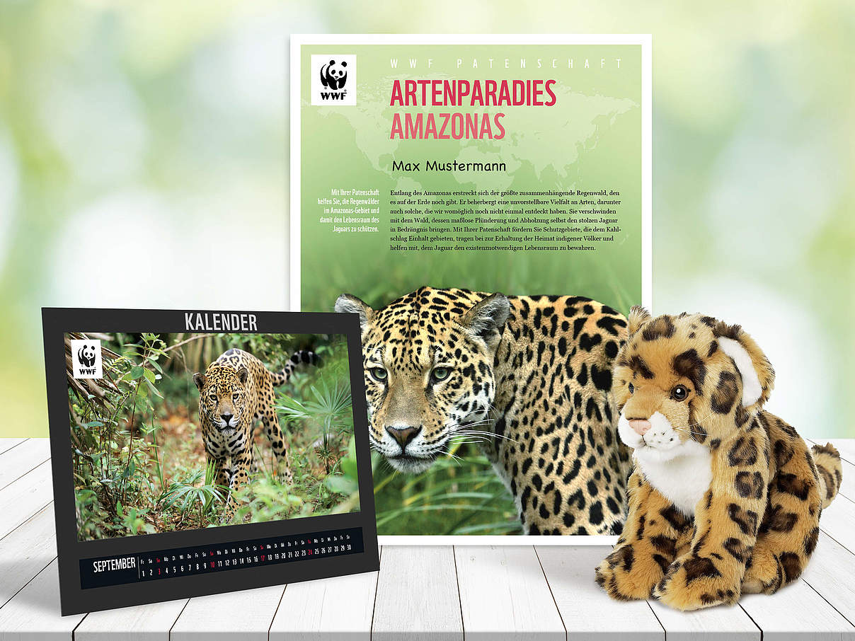Begrüßungspaket Jaguar-Patenschaft © WWF
