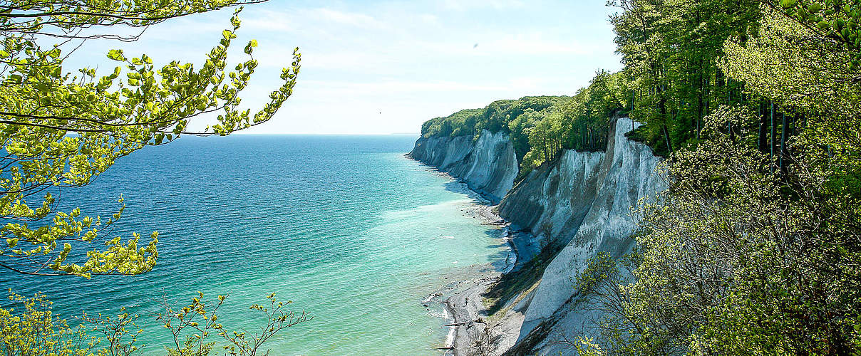 Nationalpark Rügen © Peter Lehmann / Nationalpark Zentrum Königsstuhl