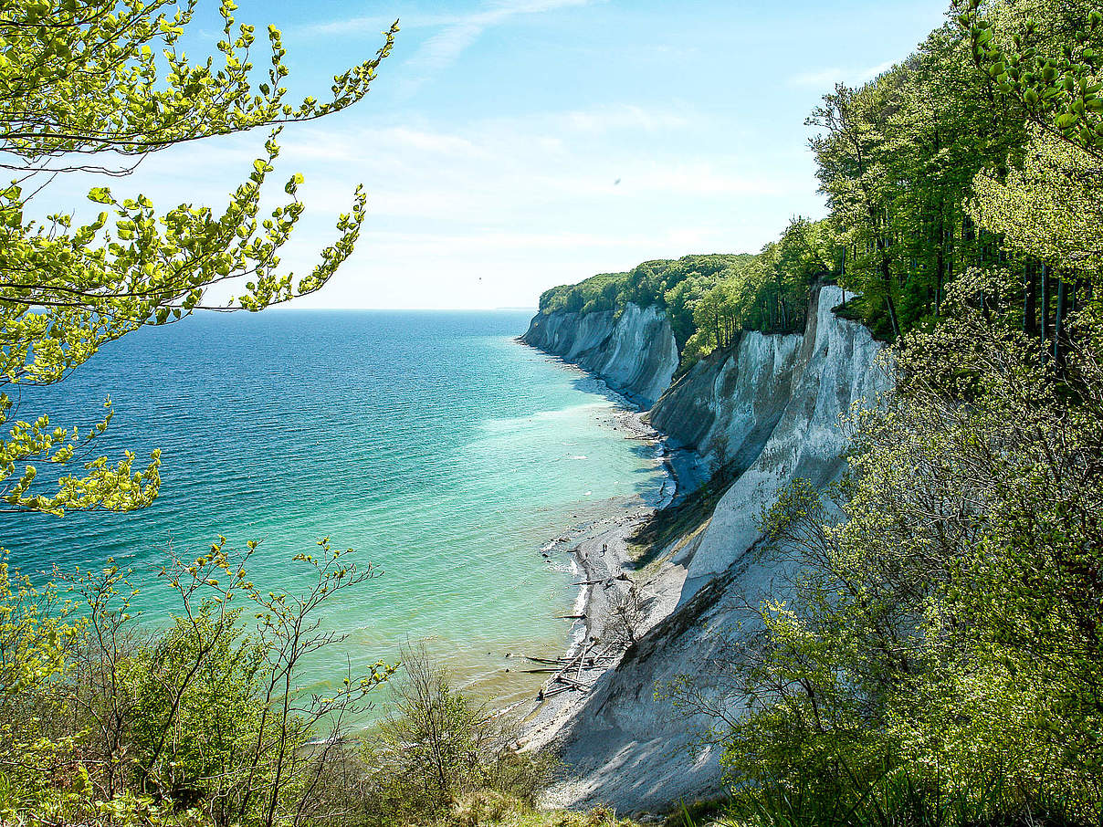 Nationalpark Rügen © Peter Lehmann / Nationalpark Zentrum Königsstuhl