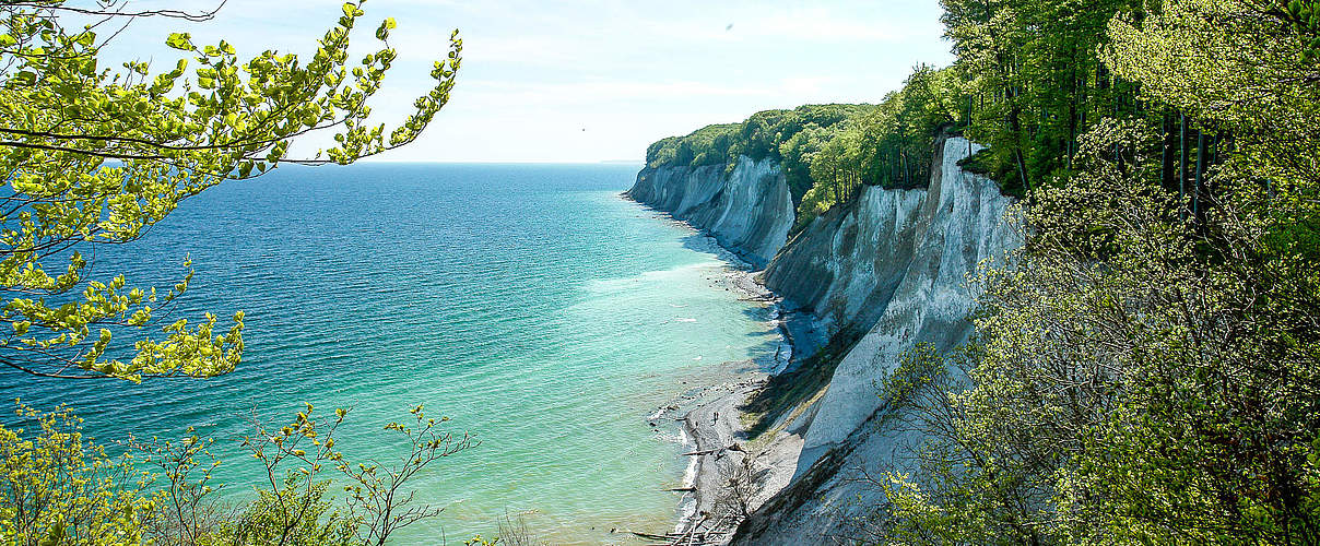 Nationalpark Rügen © Peter Lehmann / Nationalpark Zentrum Königsstuhl