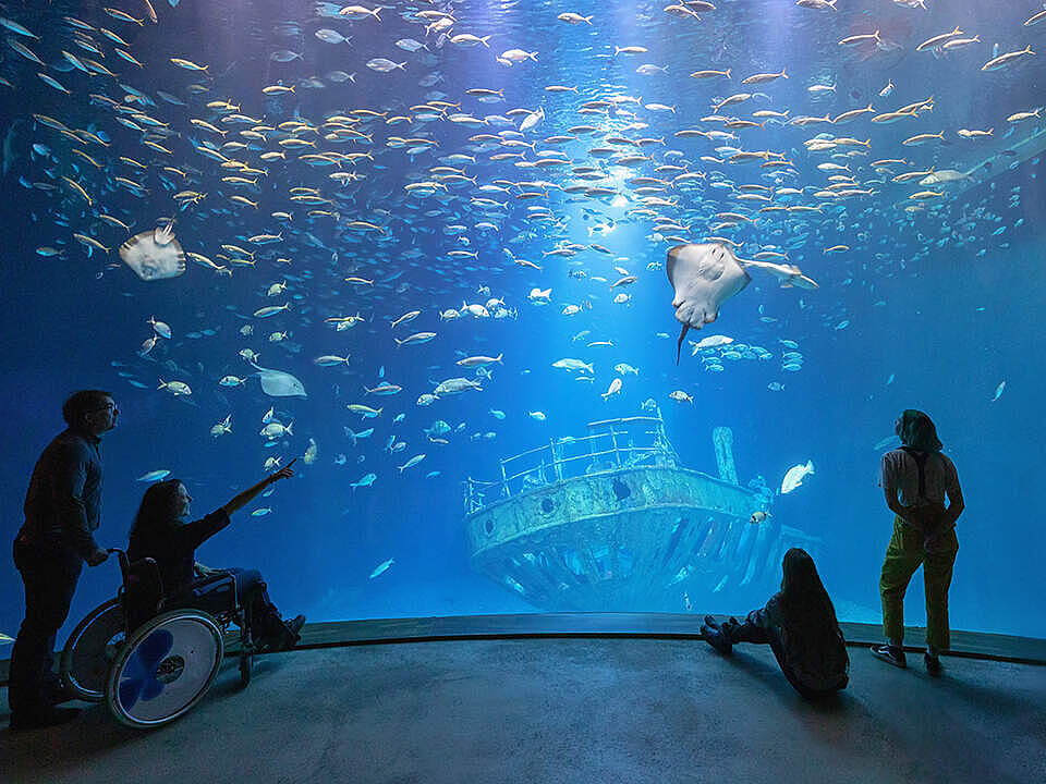 Blick ins OZEANEUM © Anke Neumeister / DMM