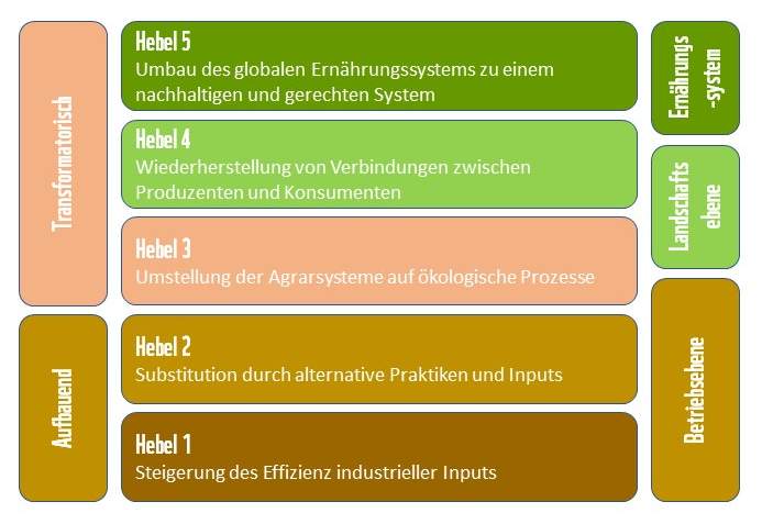 Umsetzung von Agrarökologie mithilfe von fünf Hebeln © WWF 2021, nach Gliessman 2014 und 2016