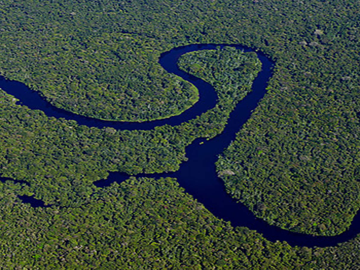 Amazonas Schutzgebiet © Adriano Gambarini / WWF