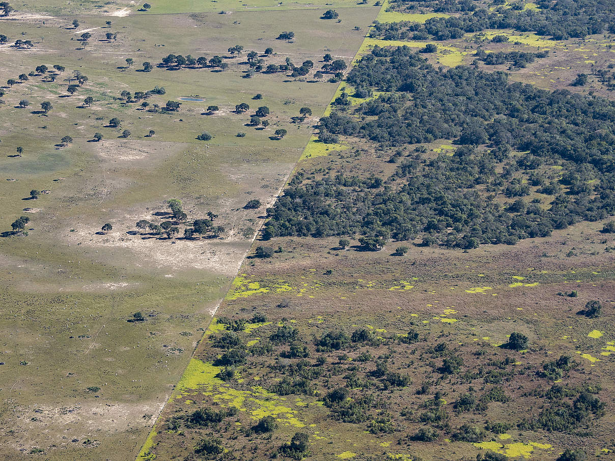 El Cachepé Ranch und Wildtierreservat, La Eduvigis, Region Chaco, Nordargentinien. © Jason Houston