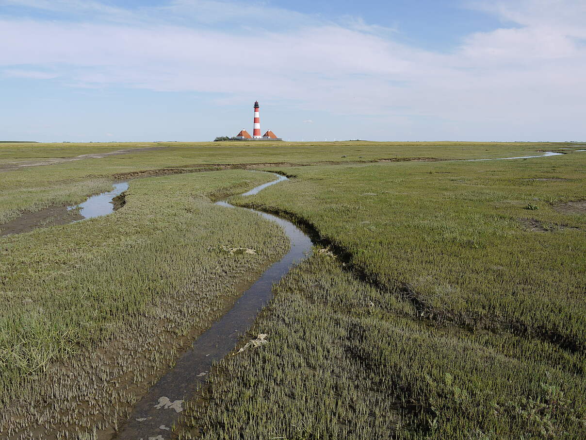 Salzwiese mit Prielen