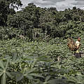 Frau im Monkoto-Korridor, Salonga © Karine Aigner / WWF-US