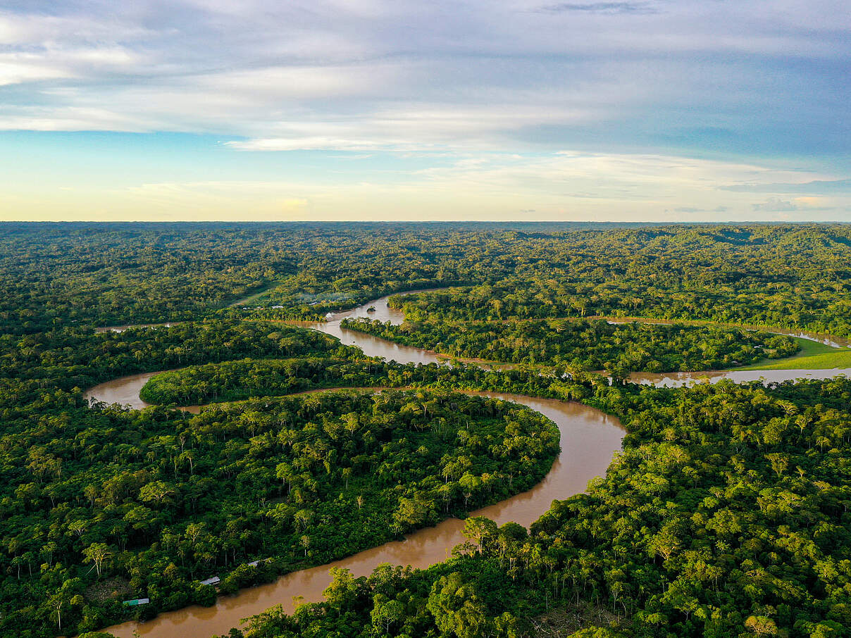 Regenwald im Amazonas © Jarno Verdonk / Getty Images