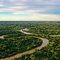 Regenwald im Amazonas © Jarno Verdonk / Getty Images