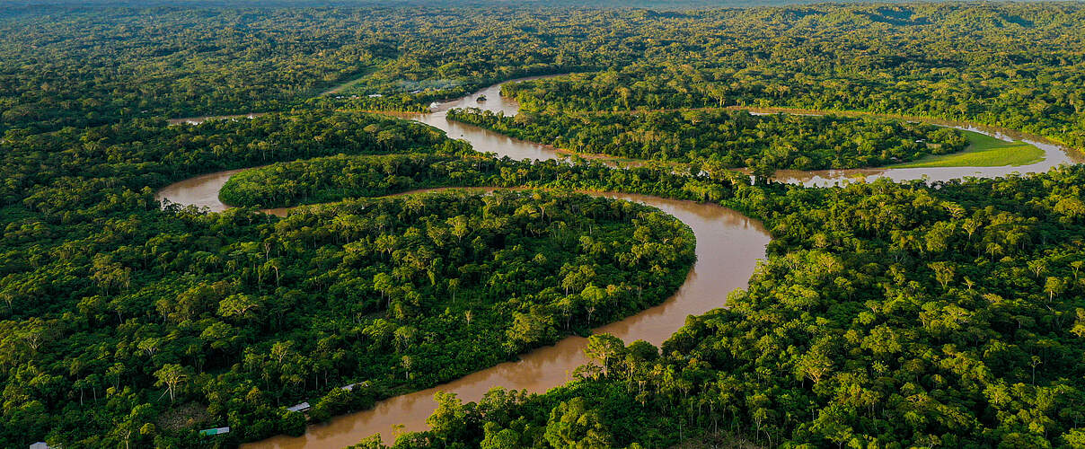 Regenwald im Amazonas © Jarno Verdonk / Getty Images